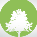 Foto del perfil de Global Gestão Ambiental