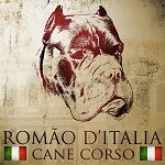 Foto del perfil de CANIL ROMÃO D´ITÁLIA